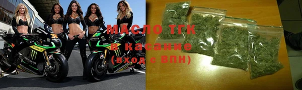 индика Аркадак