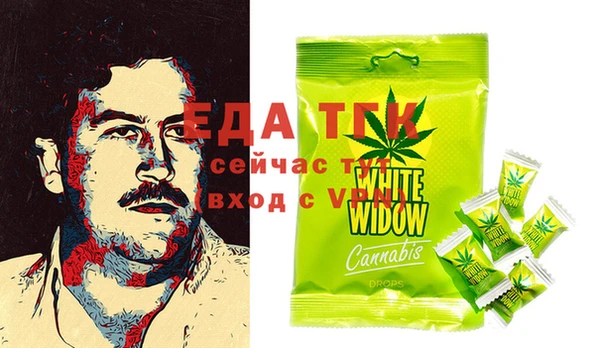 индика Аркадак