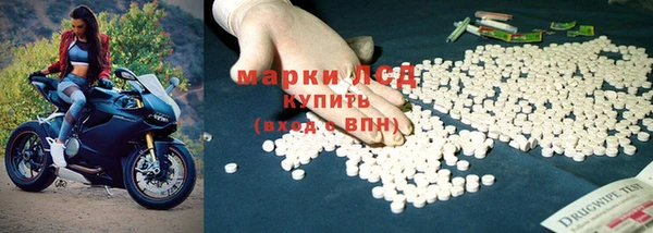 индика Аркадак