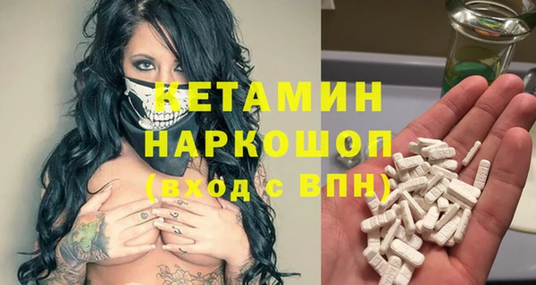 индика Аркадак